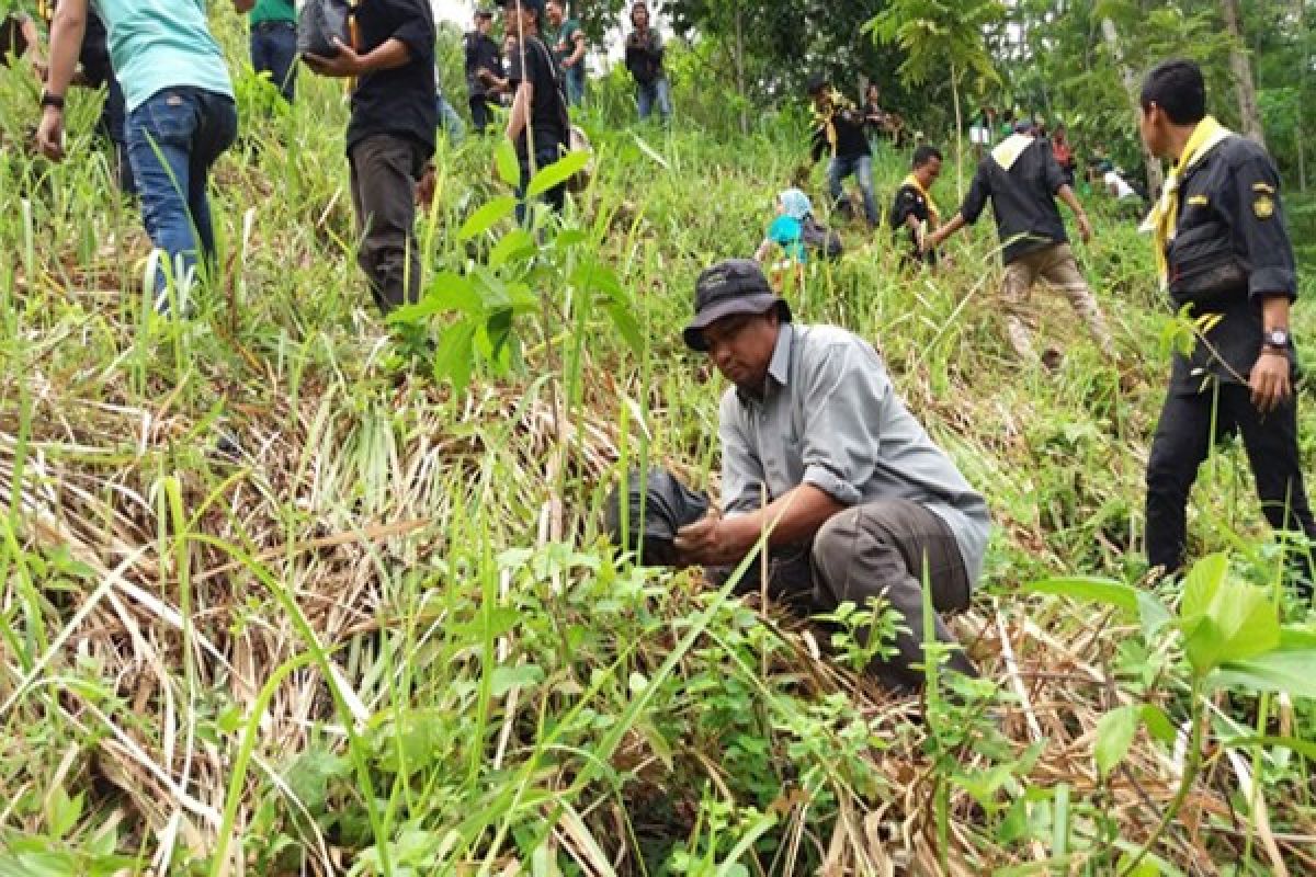 Ikatan Alumni Polinela Tanam Pohon Penghijauan  