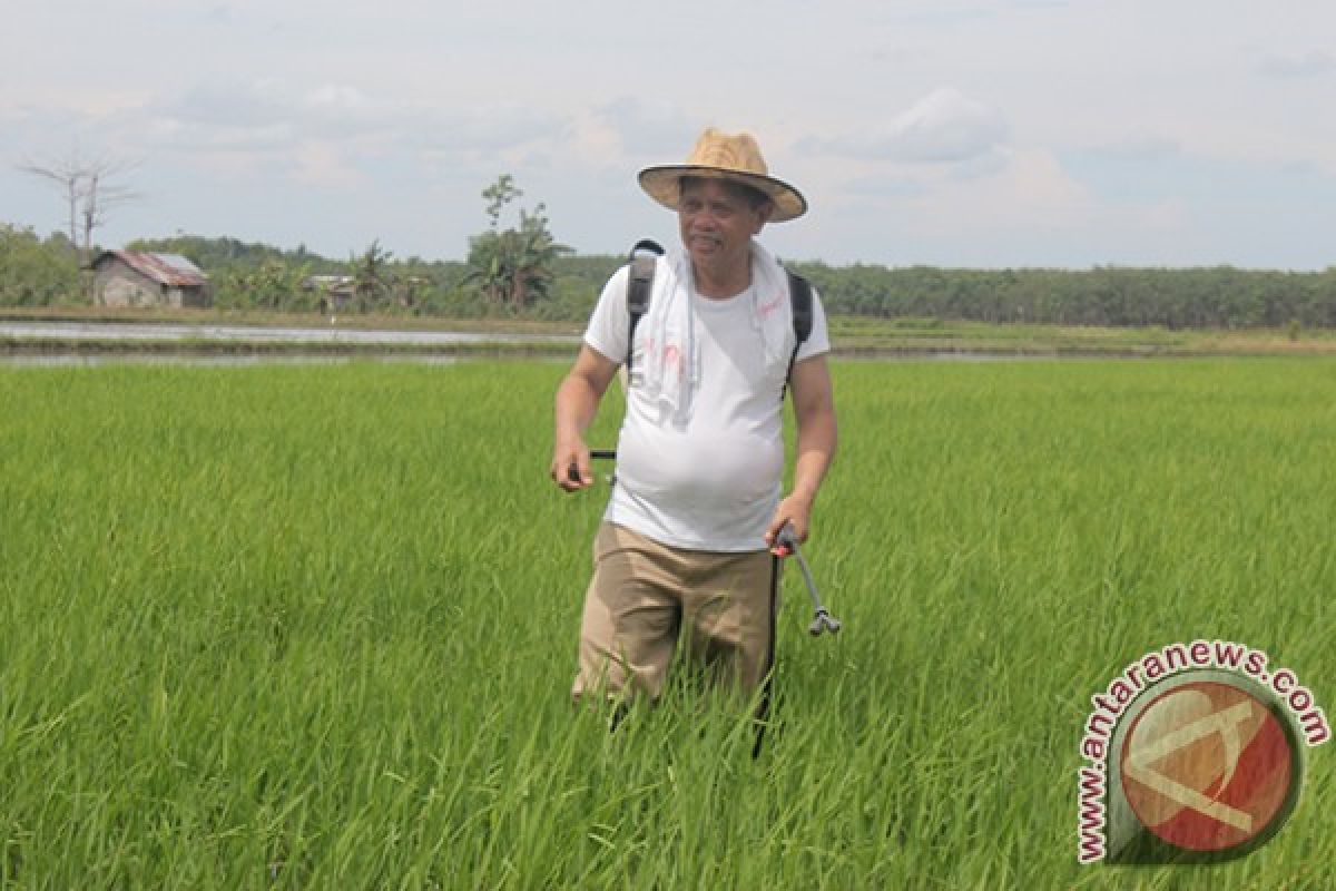 Bupati Tantang Pemuda Untuk Bertani