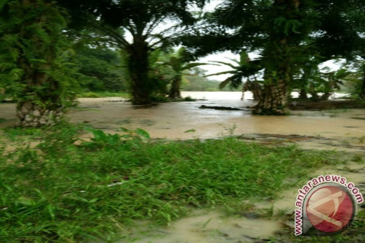 Banjir Seilepan Langkat Mencapai Ketinggian Satu Meter