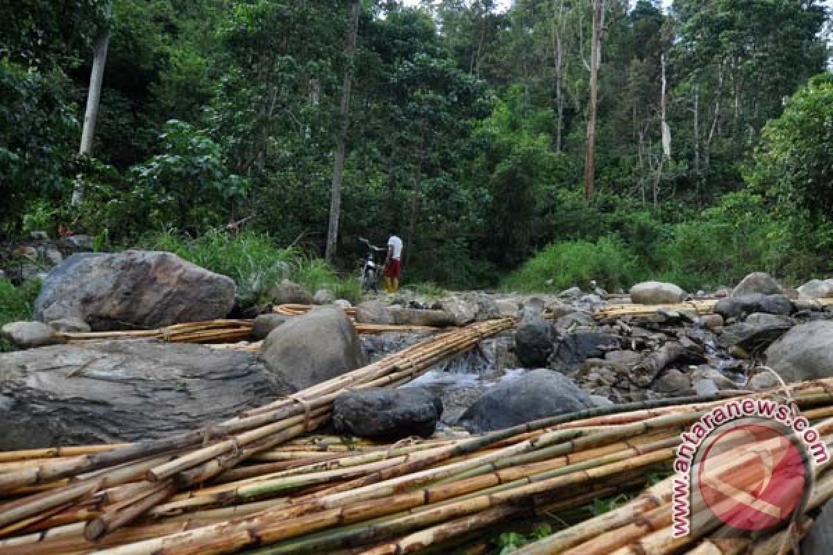 Rotan Dari Kulawi