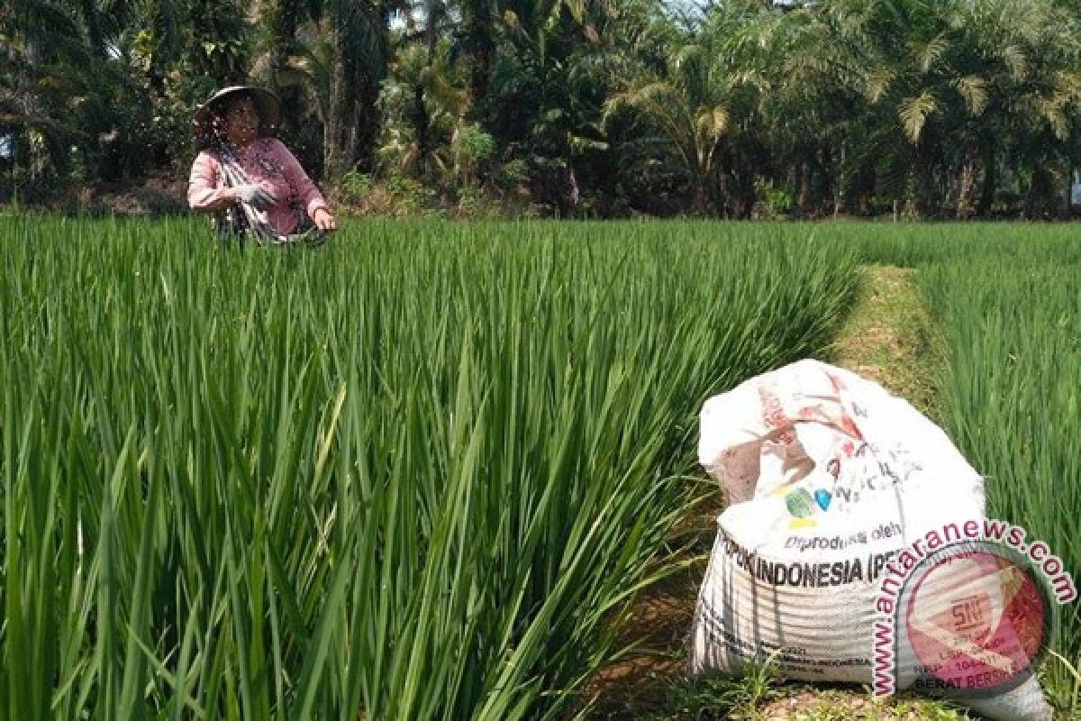 Sepuluh Hektare Sawit Petani Mukomuko Jadi Sawah