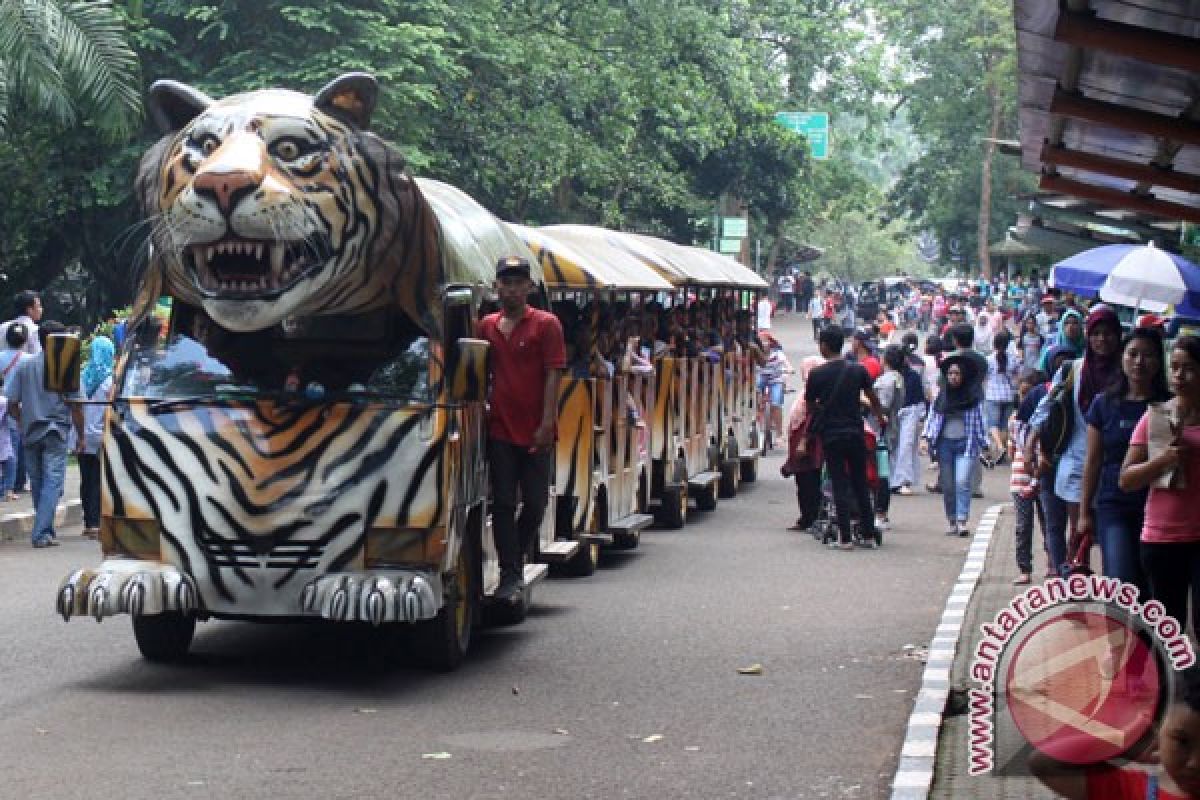 Pengunjung Ragunan berkurang pada Lebaran tahun ini