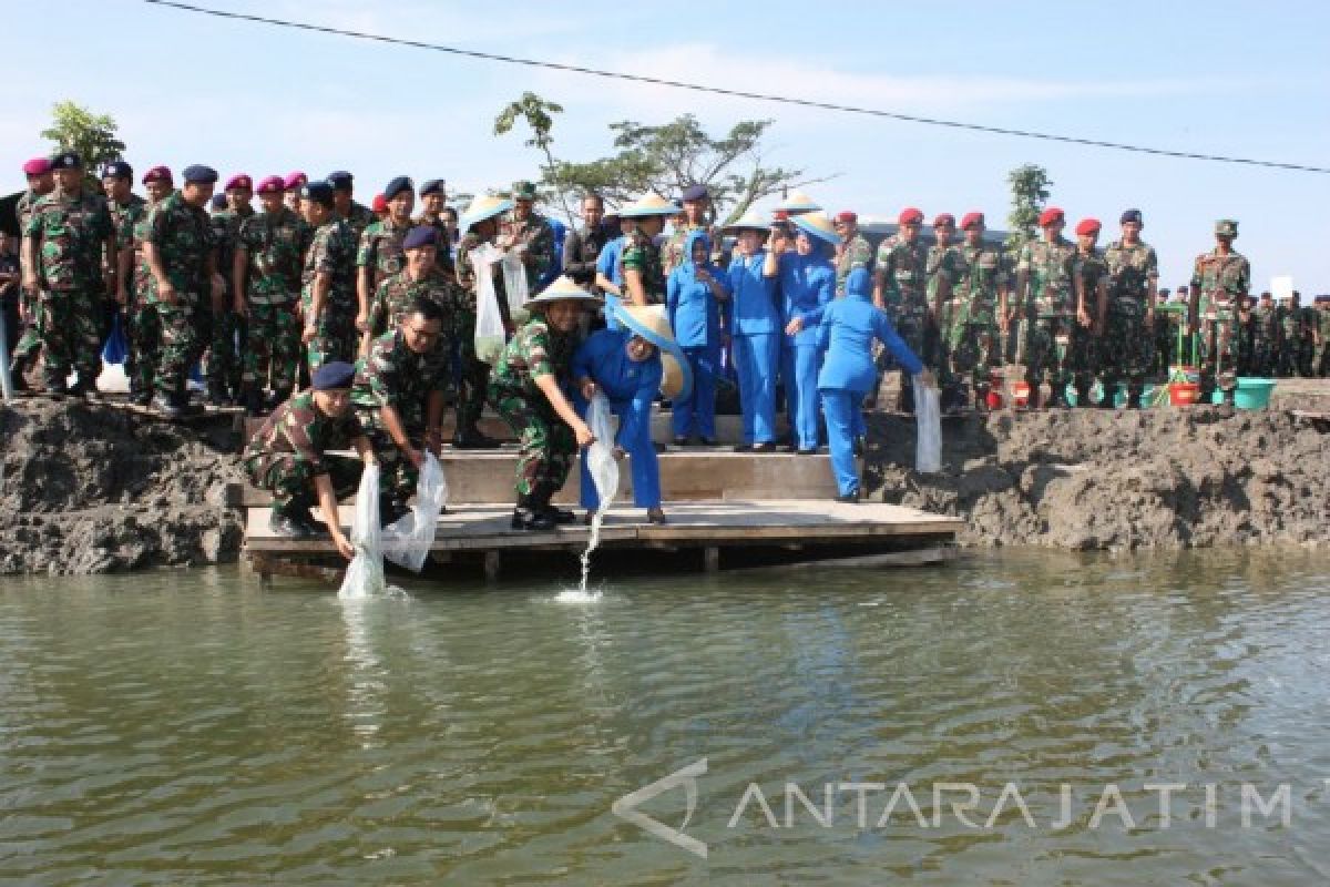 Koarmatim Tabur Benih 20 Ribu Bibit Bandeng