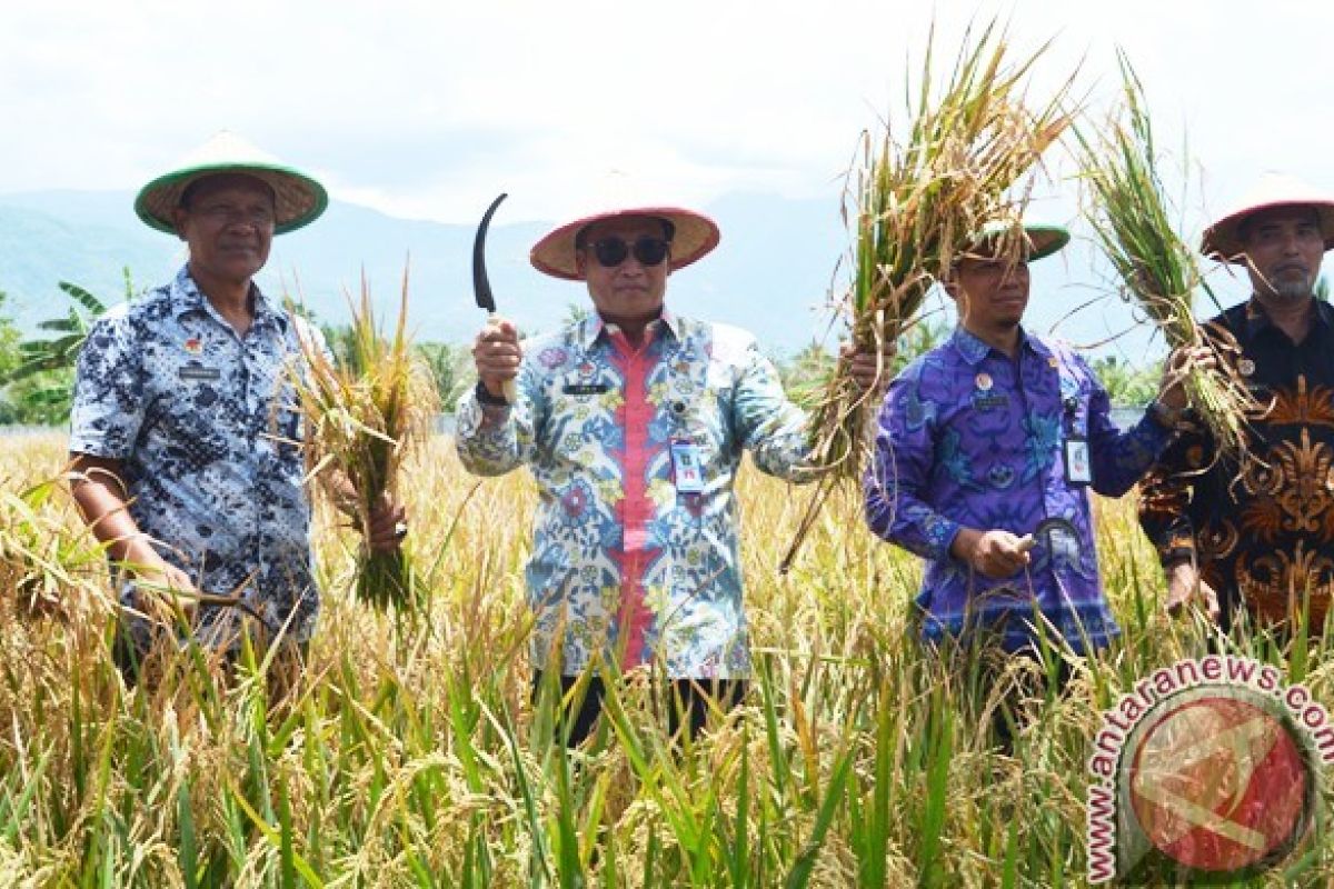 Lapas Petobo Bertekad Mandiri Dalam Pemenuhan Pangan