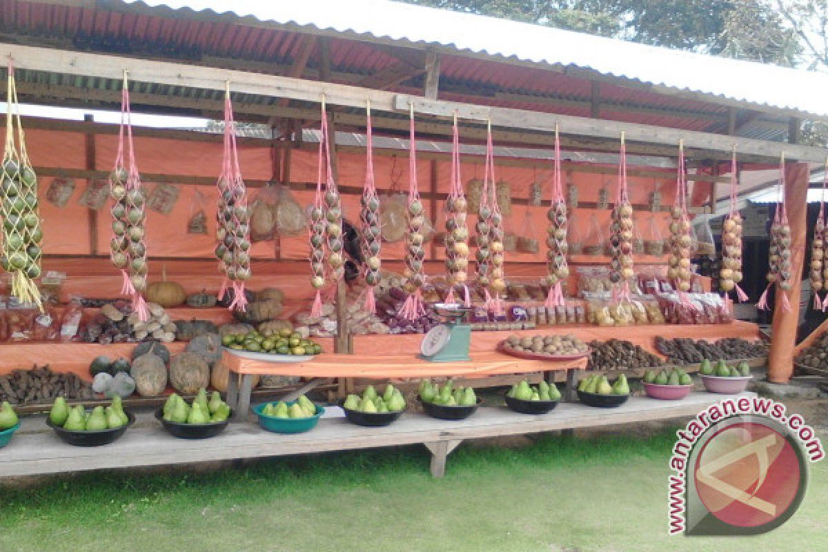 Wajib tanam buah lokal bagi 300 kelompok wanita di Bangka Belitung