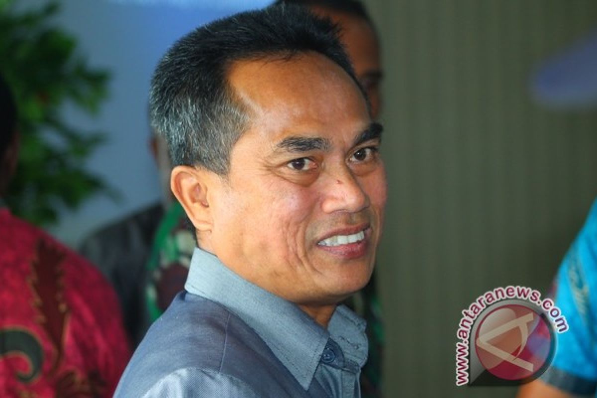 Legislator minta Pemkab Jayawijaya kembangkan sektor pertanian 