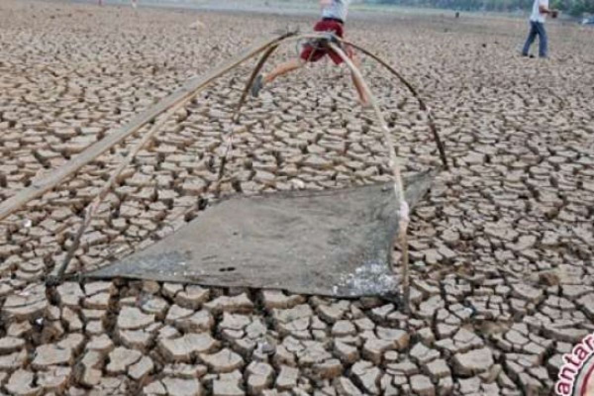 78 Orang Meninggal Akibat Fenomena El Nino Di Peru