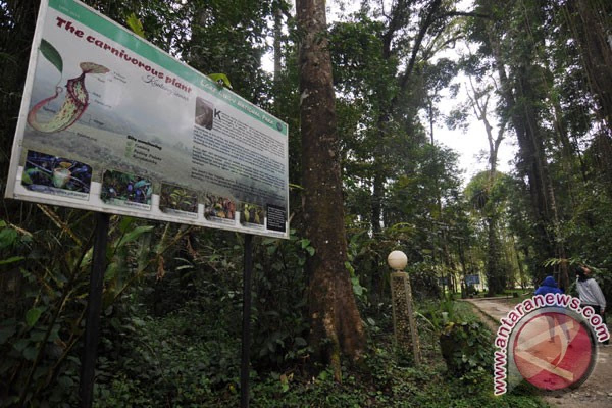 Kawasan Taman Nasional Lore Lindu jadi momok masyarakat