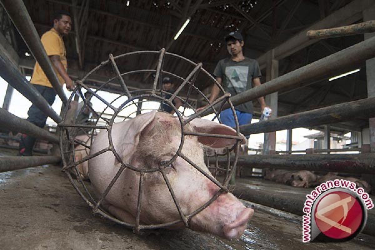 Permintaan Daging di Badung Melonjak Jelang Galungan