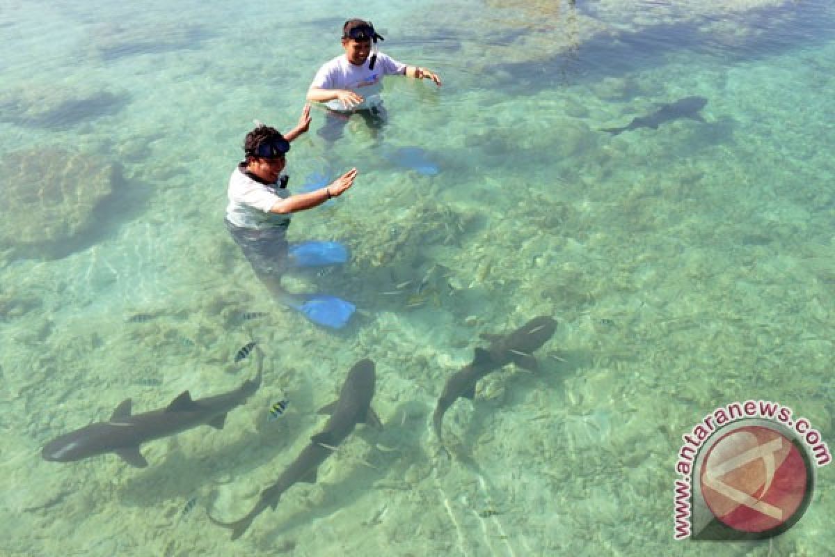 Aparat tangkap kapal bermuatan daging hiu