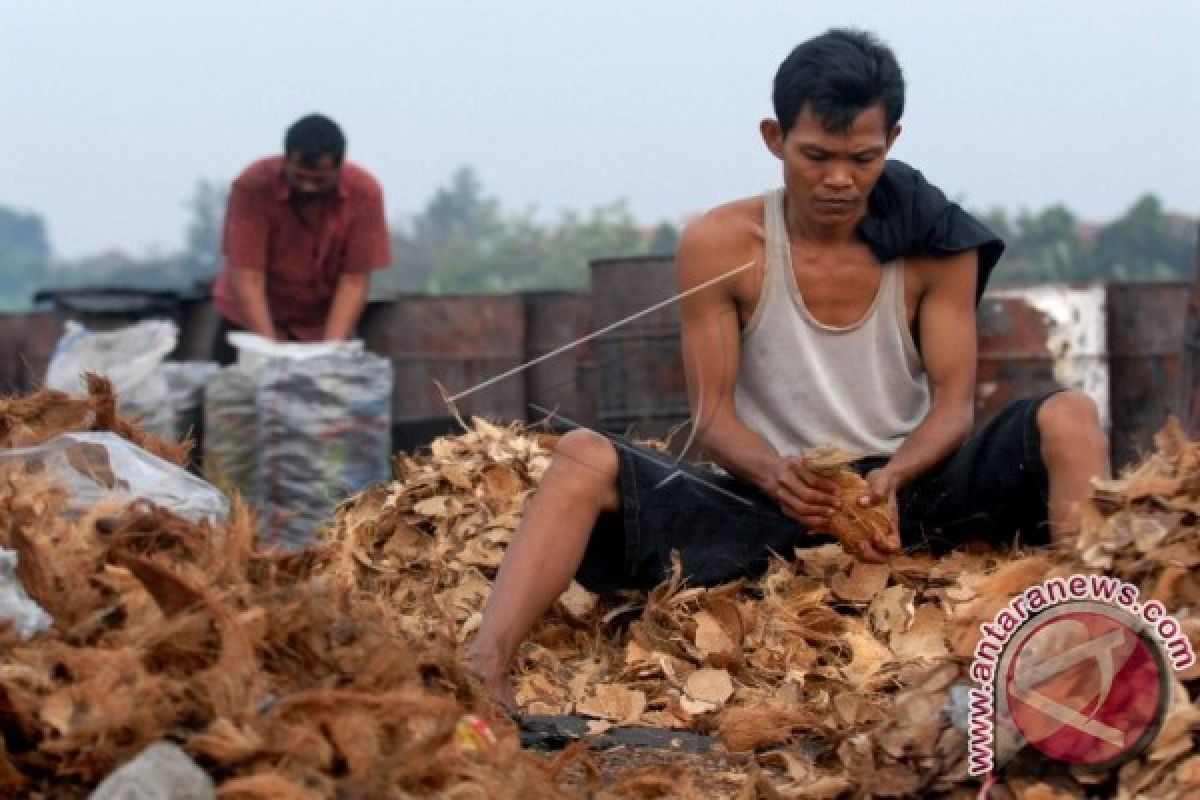 Batok Kelapa Sangat Banyak, Olah Jadi Kerajinan Layak Jual, Kata Dekranasda Seruyan 