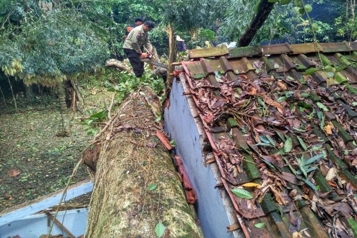 Warga Banyumas Diimbau Waspadai Angin Langkisau