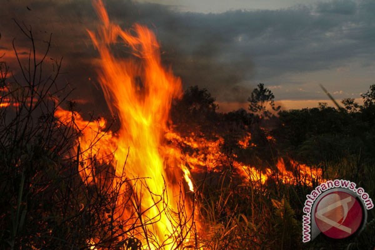 Tim gabungan berjibaku padamkan kebakaran akibat puntung rokok hingga larut