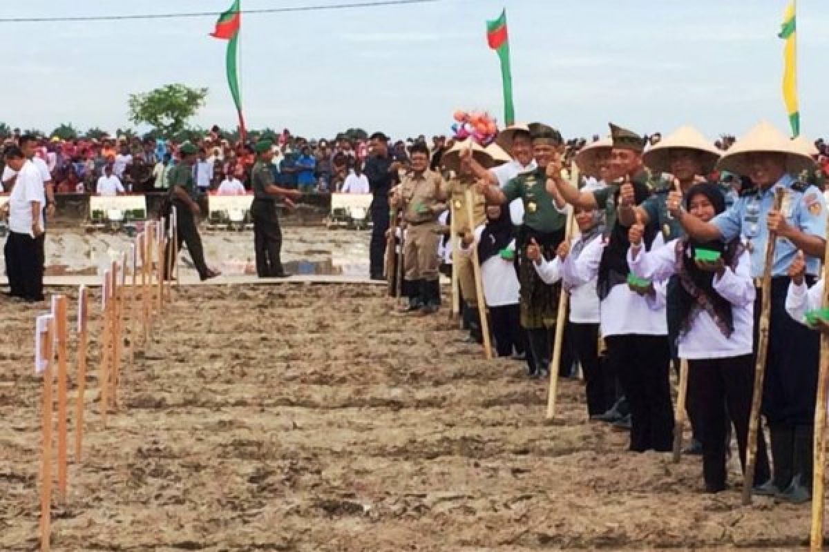 Pemerintah dorong peningkatan luas tambah tanam nasional