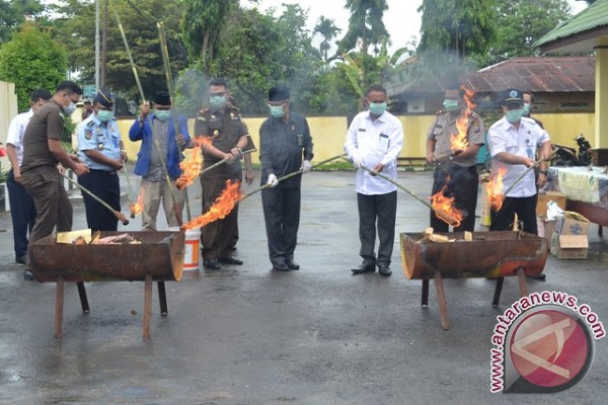 Pemusnahan Barang Bukti Ganja