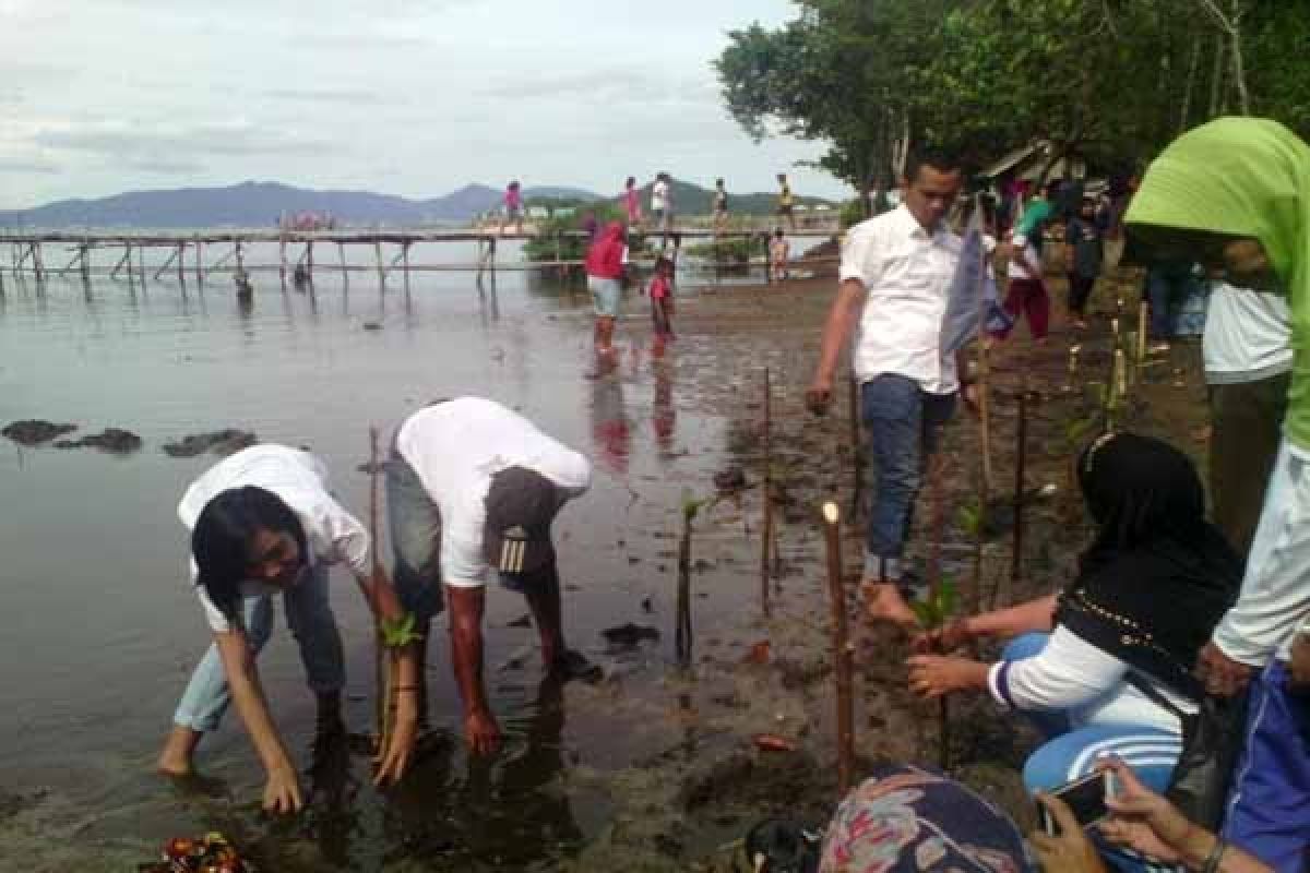 Relawan Sobat Mustafa Tanam Mangrove  