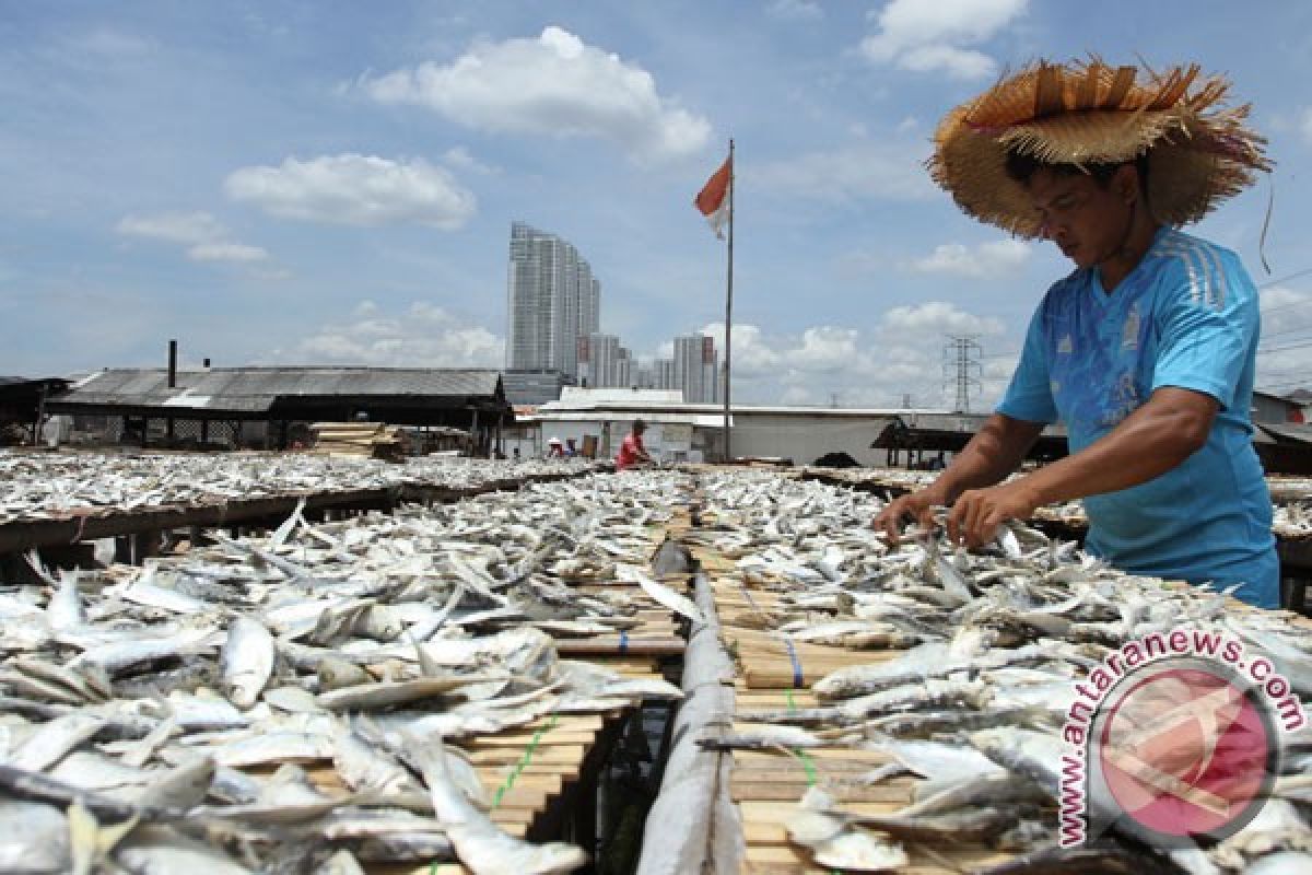 Pengolah ikan asin di Sumbar keluhkan naiknya harga garam