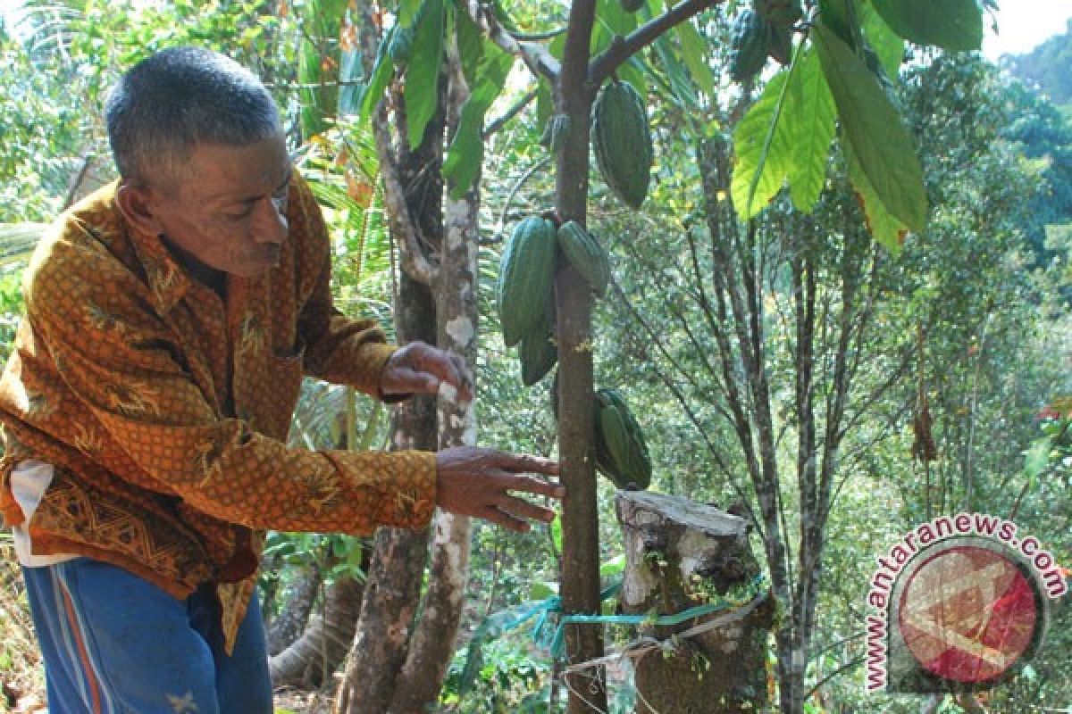 Realisasi perhutanan sosial Sumbar 204 ribu hektare