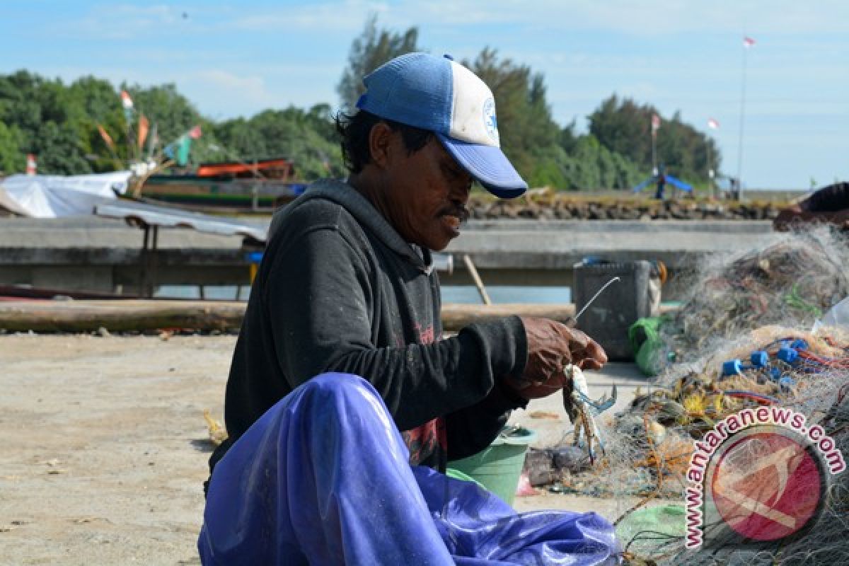 Nelayan Lampung Timur tangkap rajungan