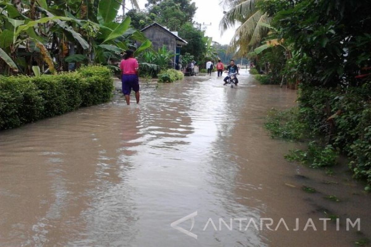 Belasan Rumah Warga Jember Terisolir Akibat Banjir