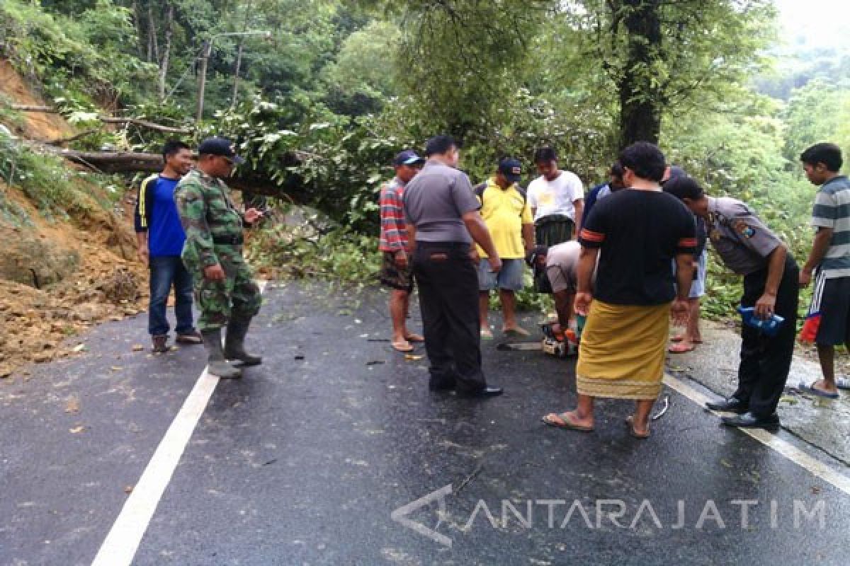 Hujan Deras Sebabkan Bukit Ponjuk Pamekasan Longsor