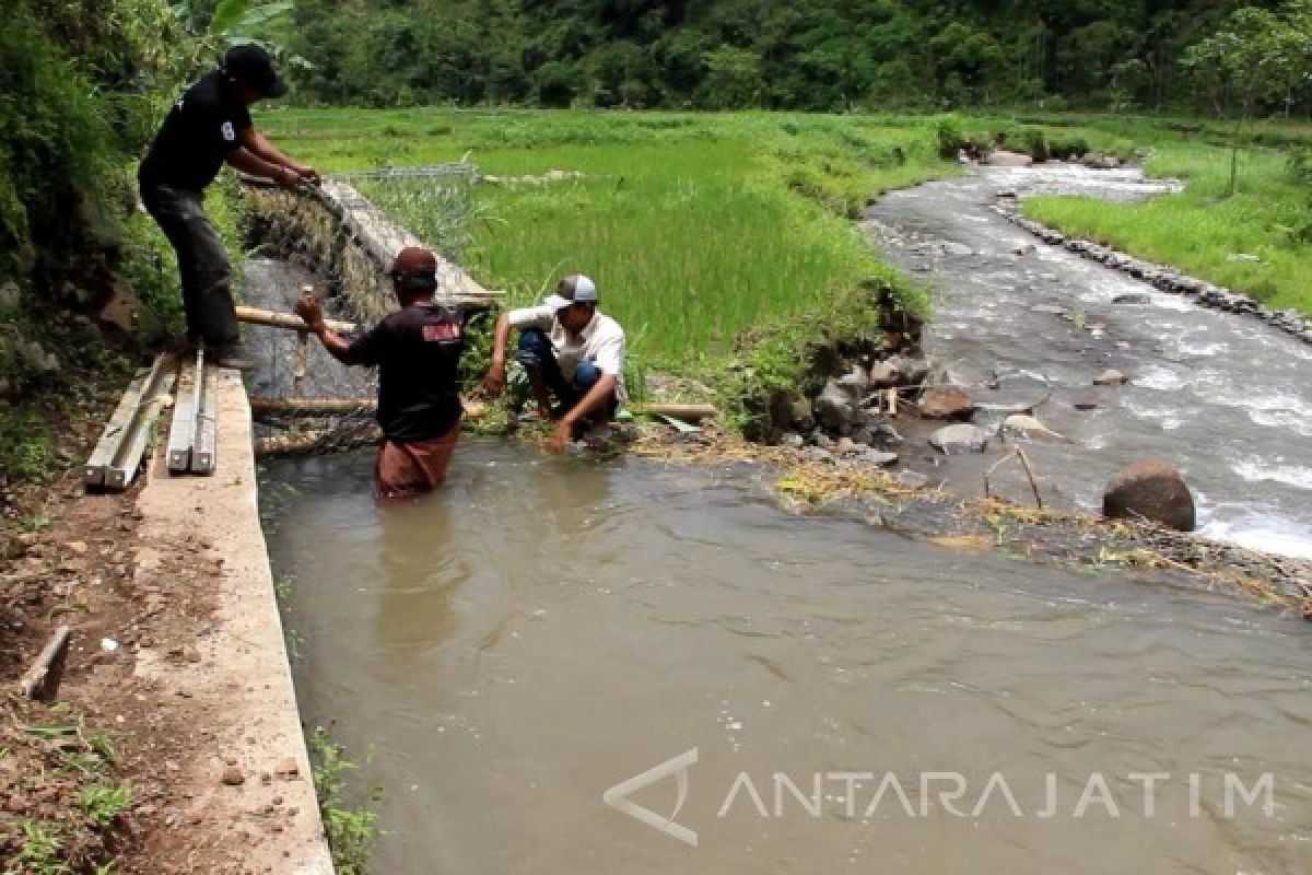 Rumah 646 KK di Situbondo Belum Teraliri Listrik