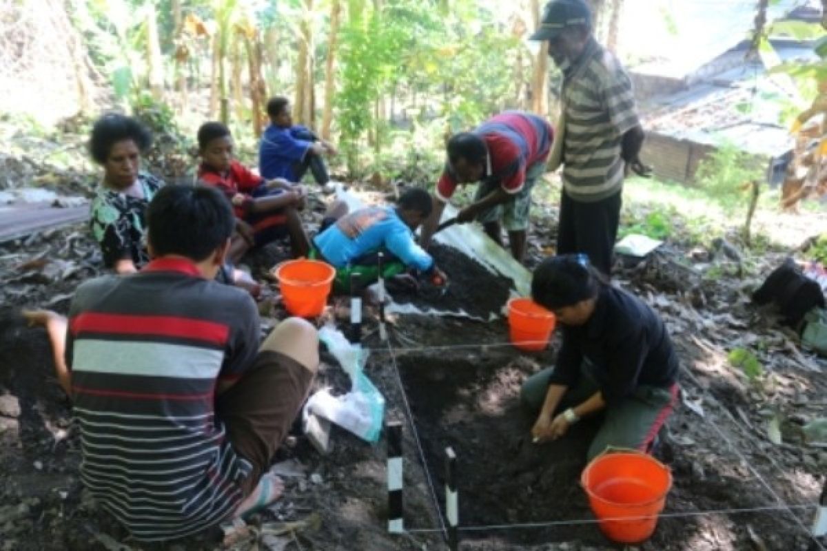 Peneliti: penelitian arkeologi Papua masih kalah dari PNG 