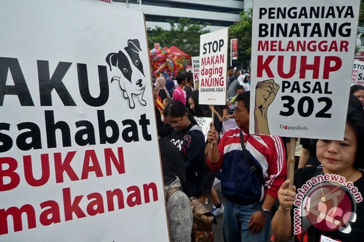 Diskusi perdagangan daging anjing digelar di Bali