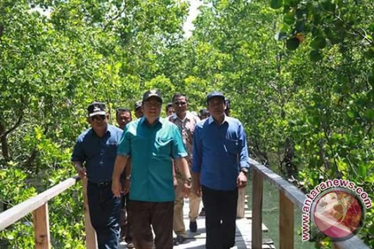 Pemkot Libatkan Warga Kelola Tracking Mangrove Purirano 