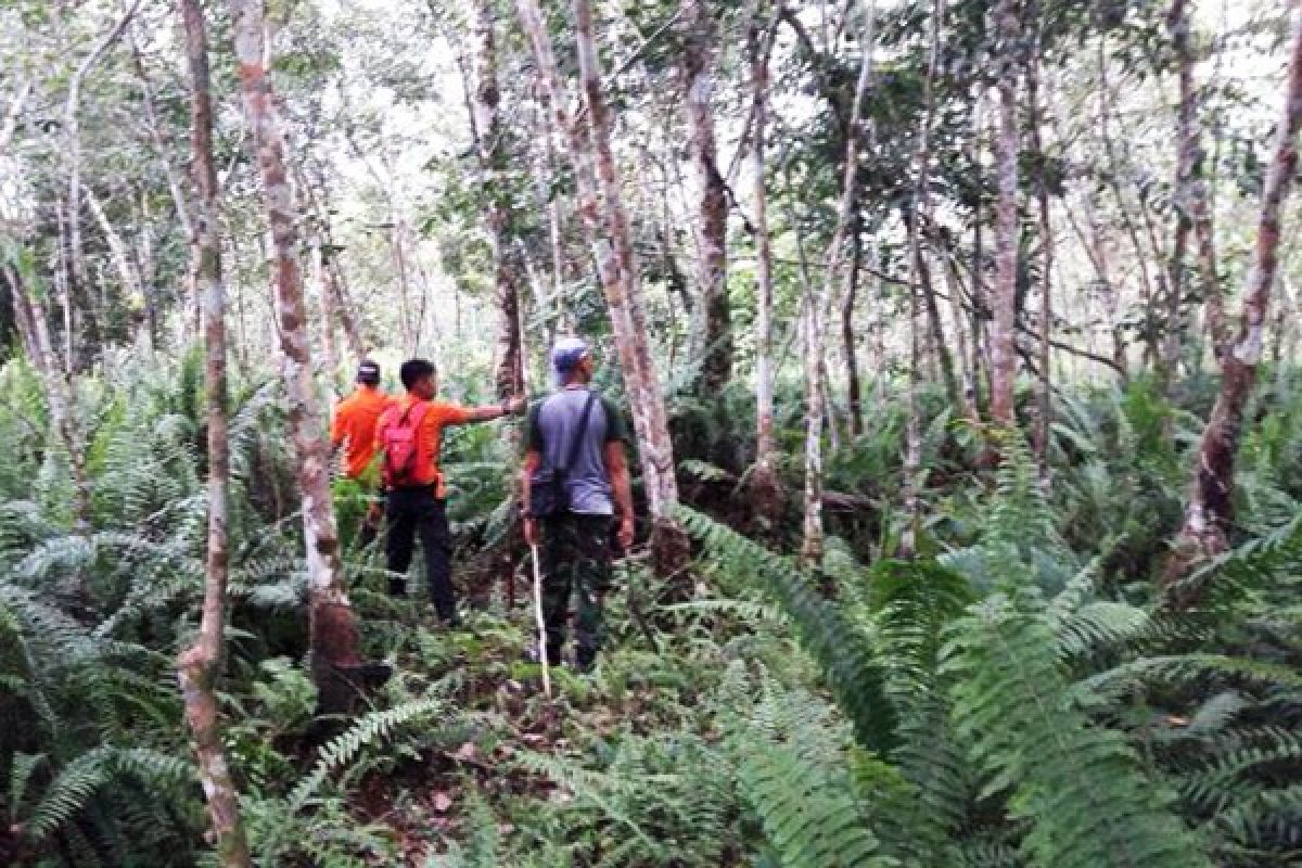 SAR Pontianak berangkat Tim Rescue cari Aminah