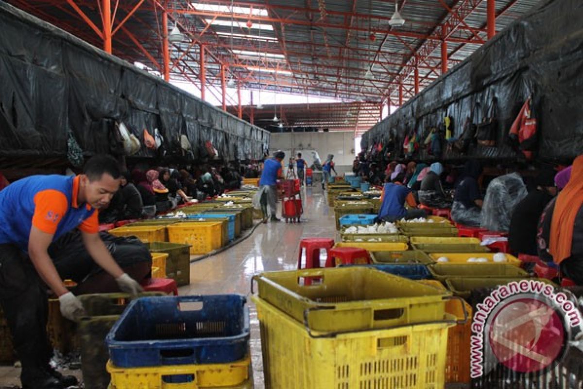 Ratusan Warga Tanjungbatu Resah Terancam Kehilangan Pekerjaan