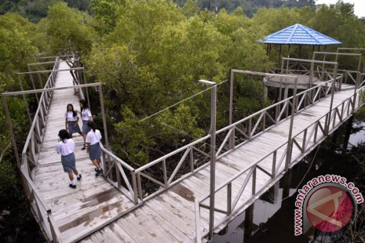 Visitors To Kendari Mangrove Ecotourism Areas Urged To Maintain Cleanliness 