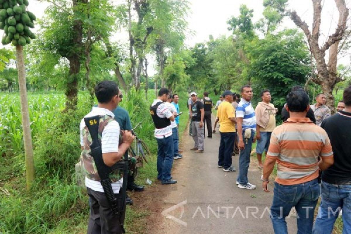 Pemkab Tuban Beri Bantuan Kerusakan Jagung Petani