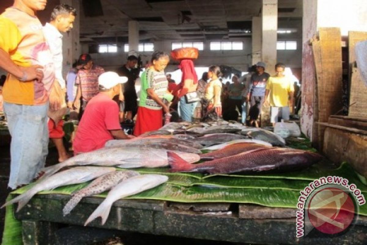 Tuna besar di Ternate kosong