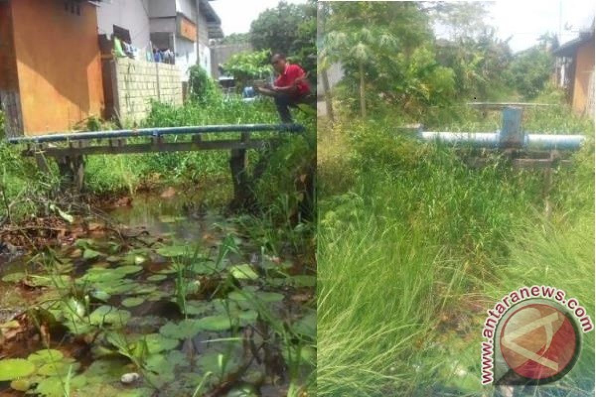 Sungai Ulis dan Usang Kuala Kapuas Penuh Sampah dan Semak Belukar, Mengapa?