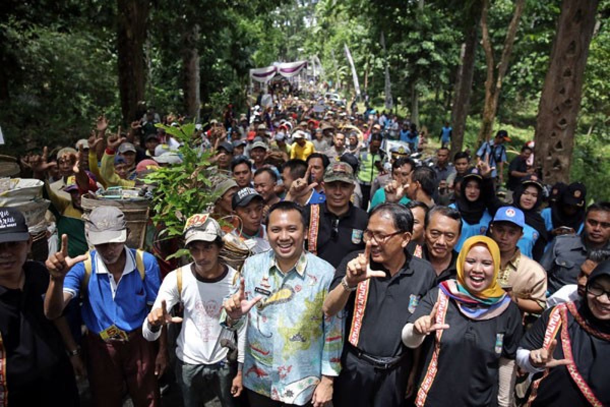 Festival Teluk Stabas IV Pesisir Barat Lampung Berlangsung Meriah