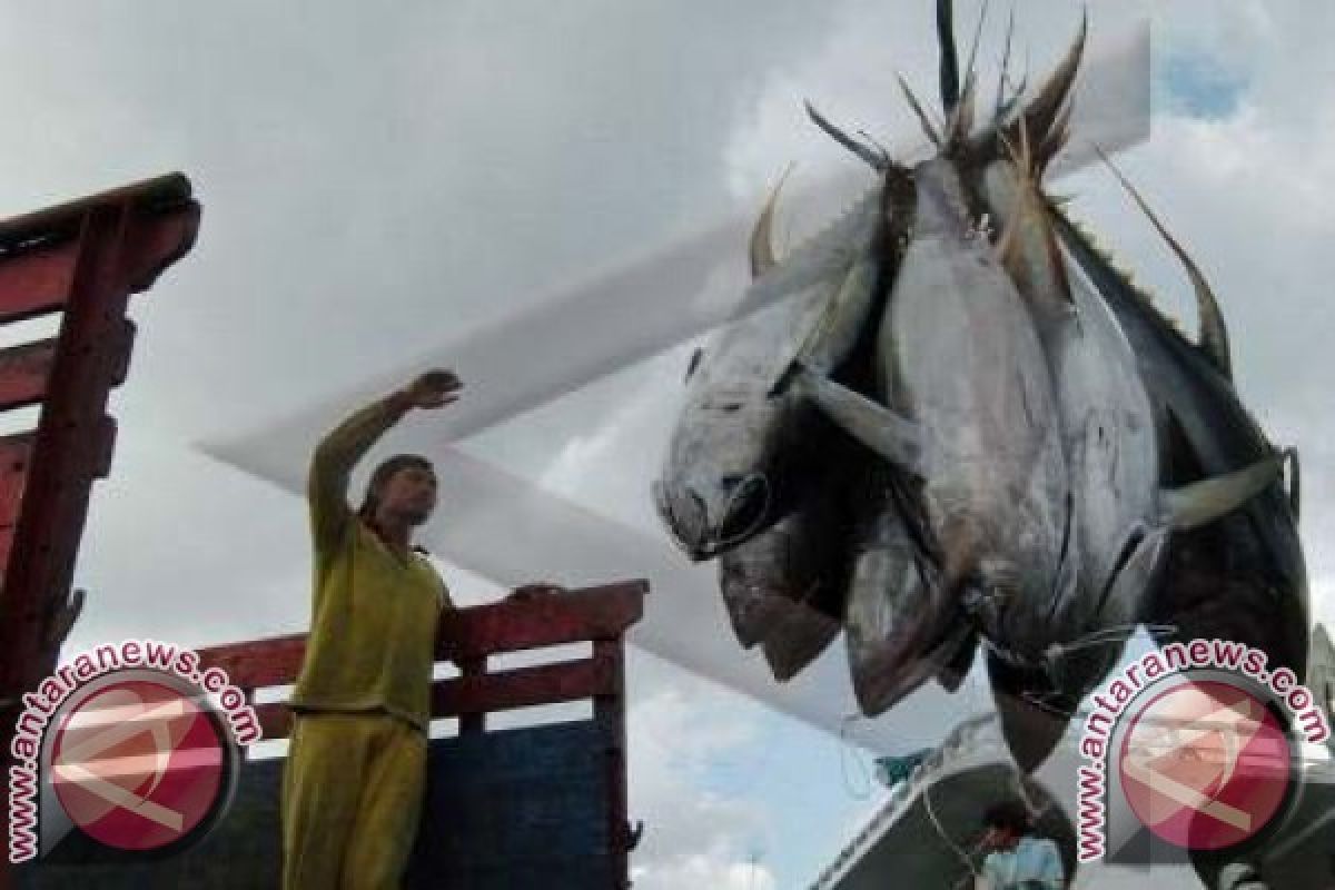 Ekspor Ikan dan Udang Provinsi Bali Merosot