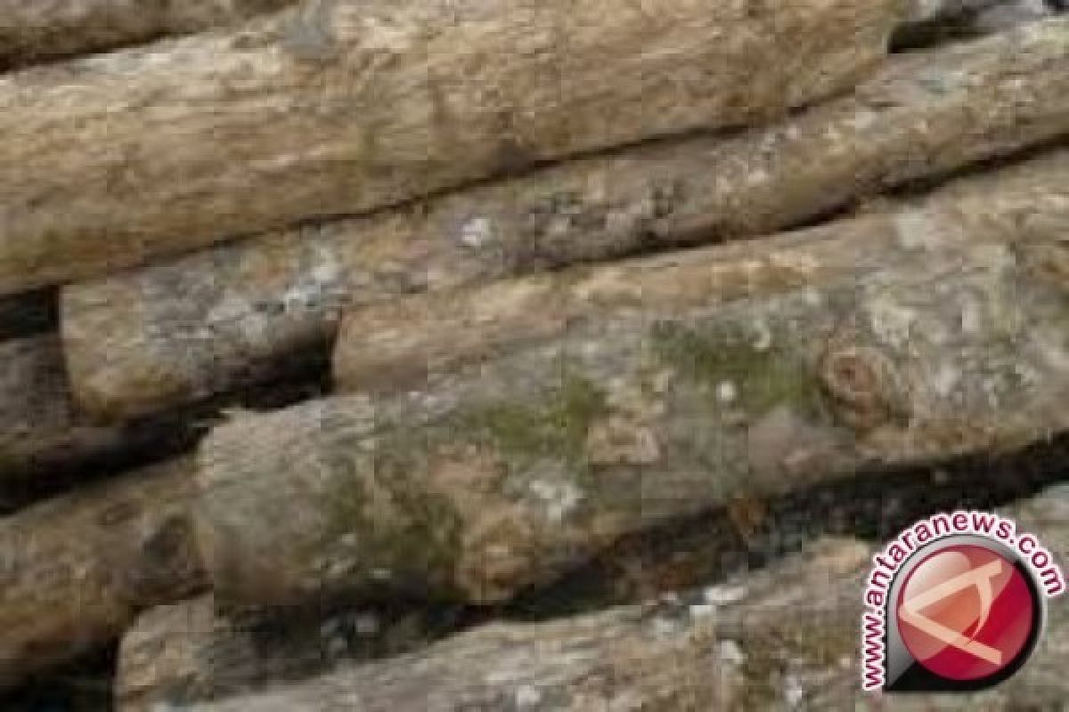 UPP-Kehutanan pastikan kayu miliki dokumen lengkap