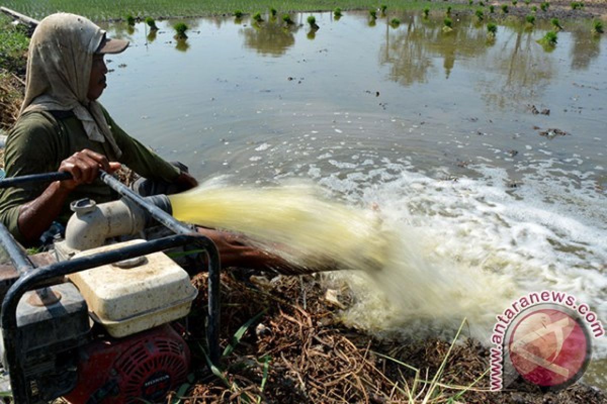 Kebutuhan Air Lahan Persawahan Penajam Belum Terpenuhi