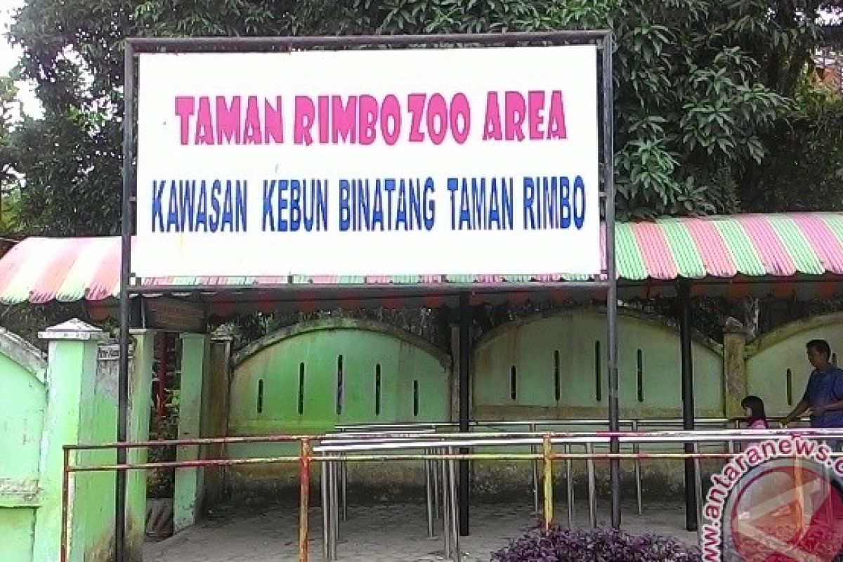 Taman Rimba Jambi raup pendapatan Rp669 juta