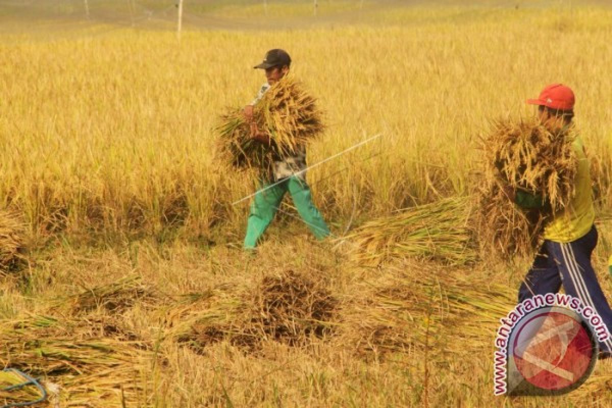 Ekonom: Benahi Daya Saing Pertanian Indonesia di MEA