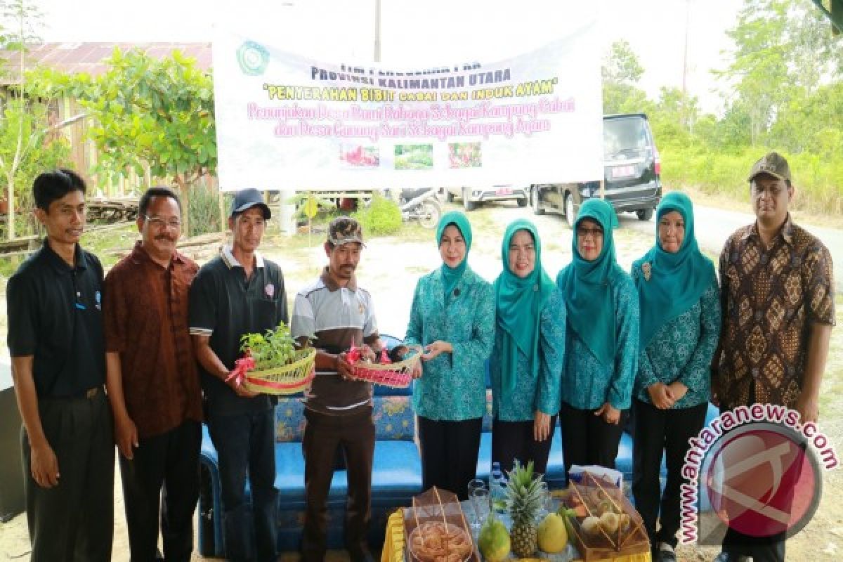 PKK Kaltara Bantu Bibit Cabai dan Indukan Ayam