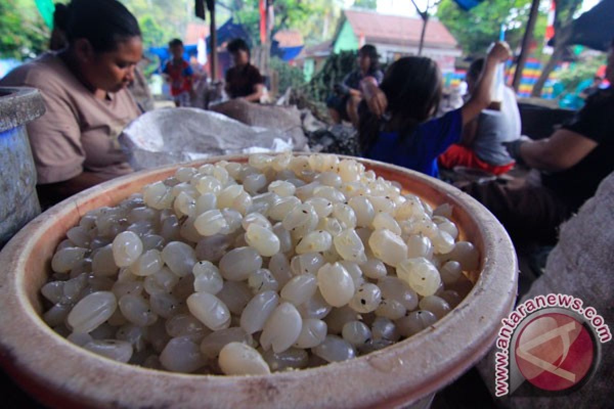 Di sini, ada kolang kaling dicampuri pewarna tekstil