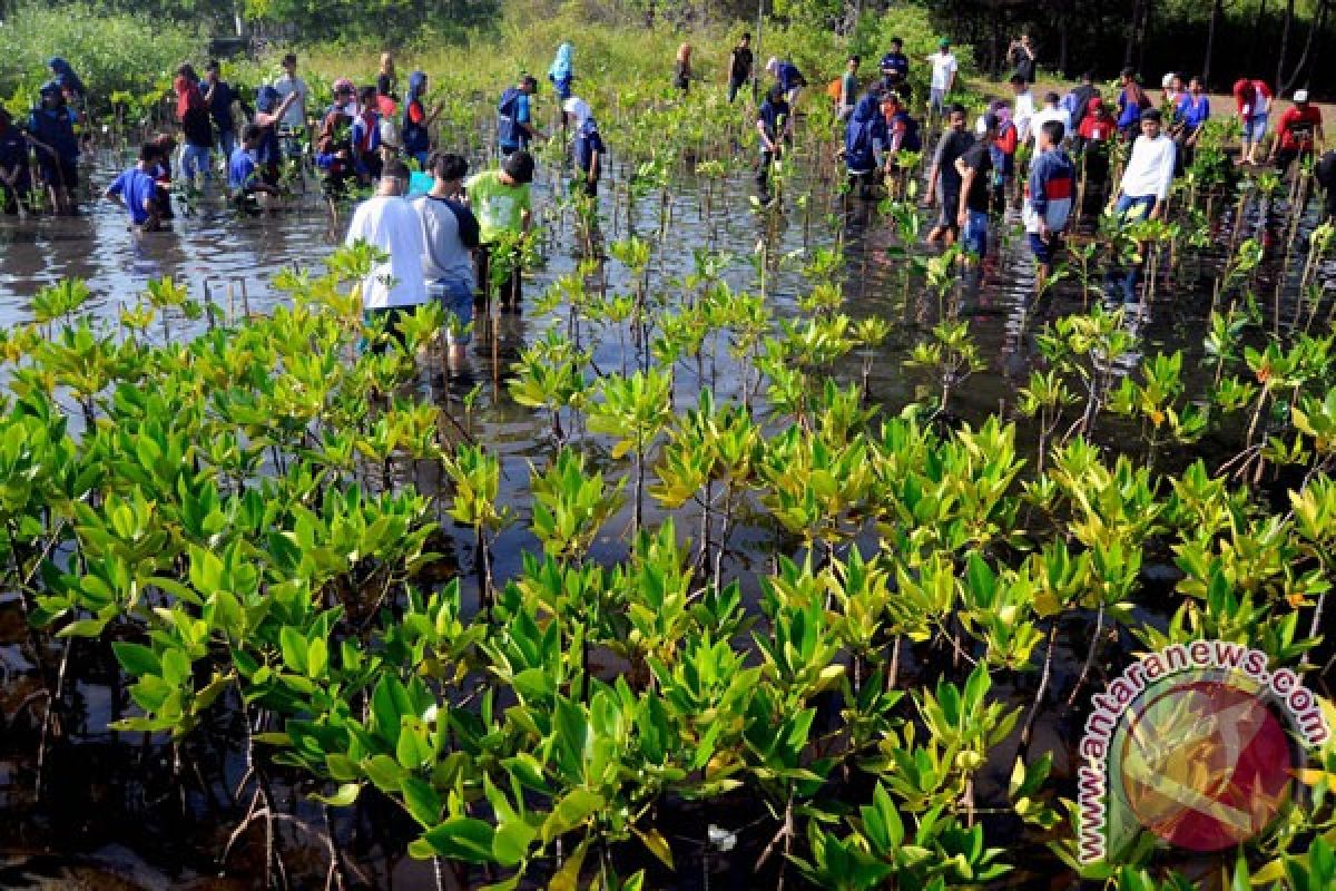 Mayoritas mangrove dinilai kurang baik