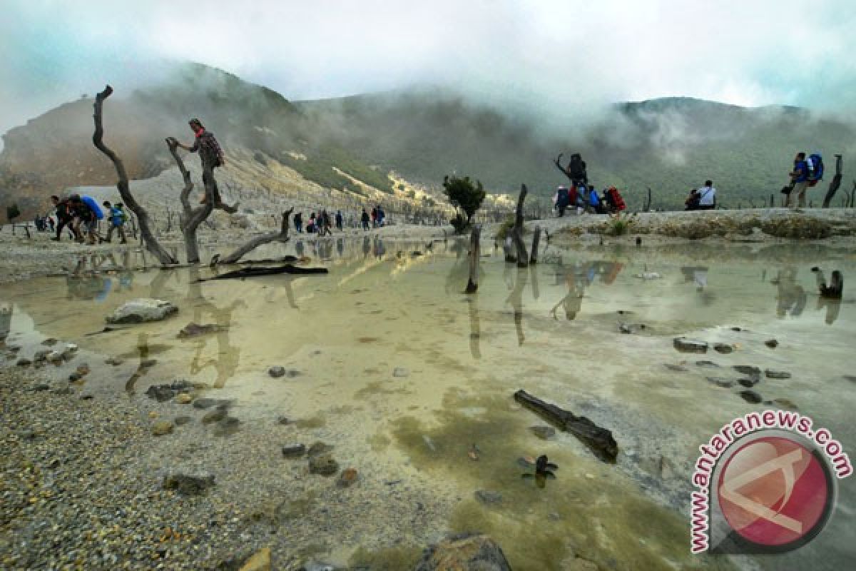 Mengunjungi Hutan Mati Papandayan yang semakin nyaman