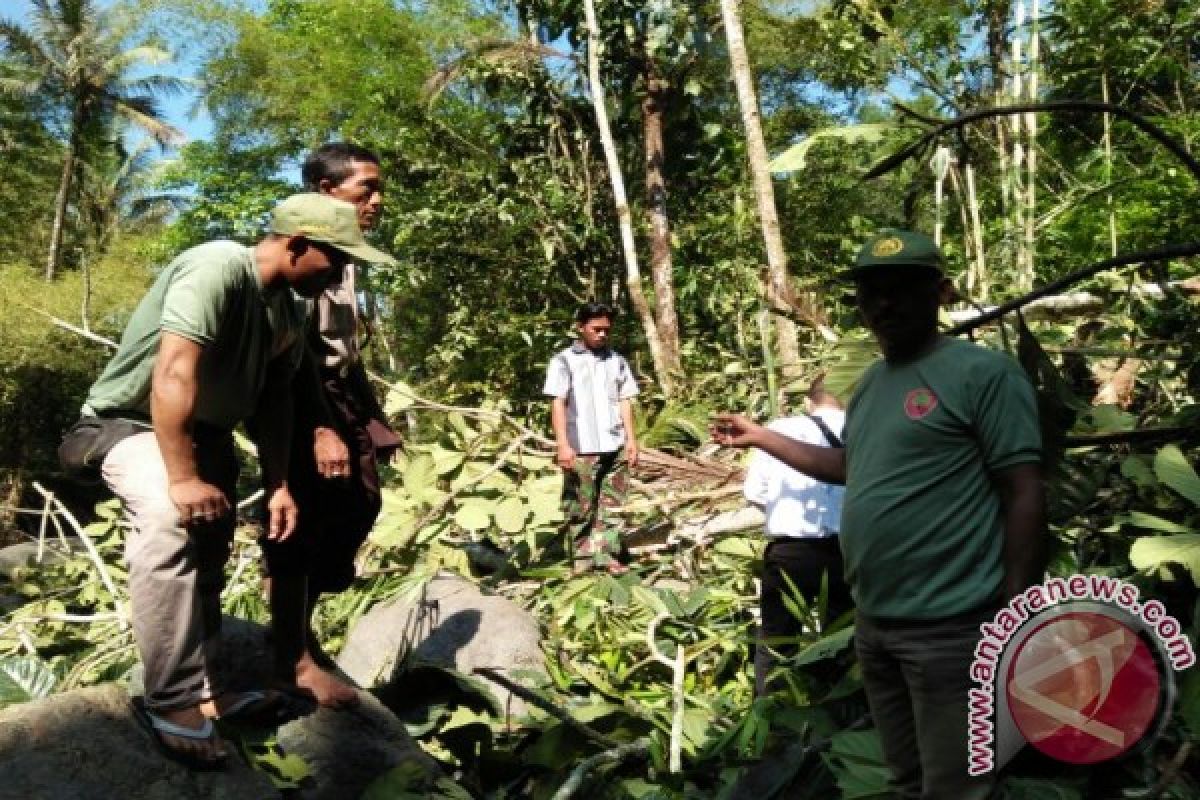 Polisi Buleleng Selidiki Bocah Tewas Tertimpa Pohon