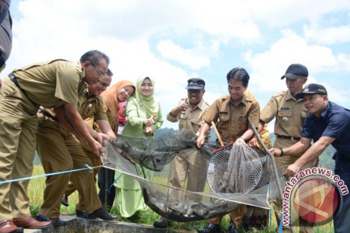 Forikan Tanah Datar Dorong Warga Konsumsi Ikan