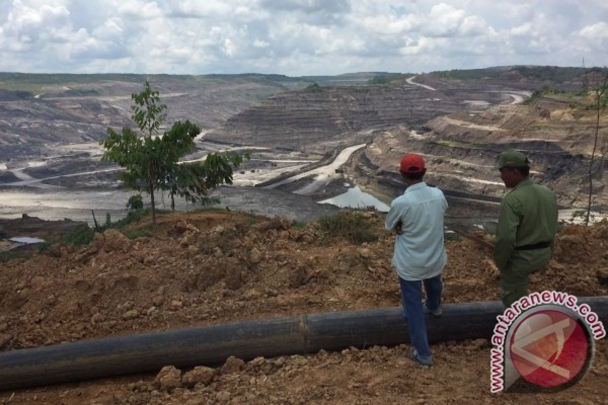 Desa Lumbung Padi Terancam Emas Hitam