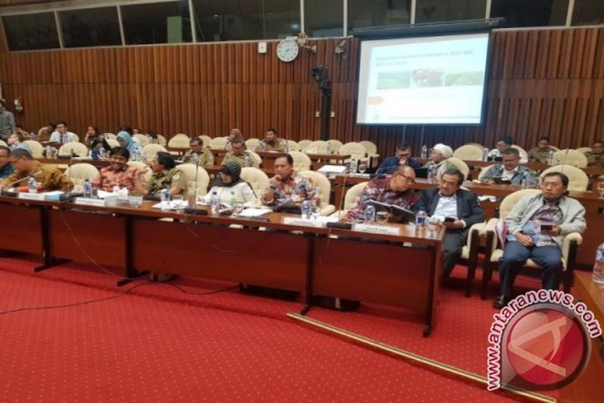 Akhirnya Pemerintah dan Legislator Satu Suara Soal Sawit  