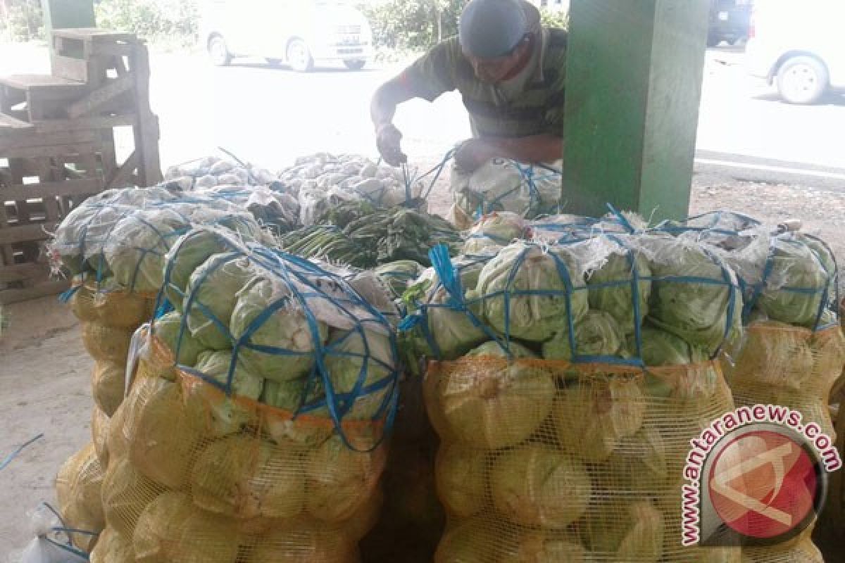 Harga Sayuran Di Rejang Lebong Bertahan Tinggi